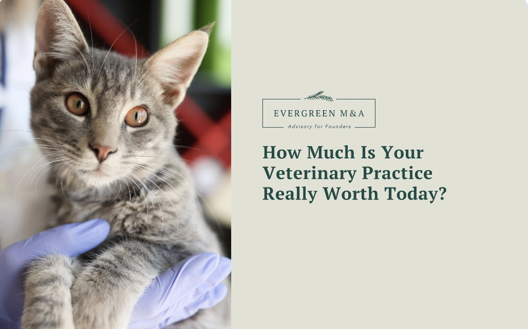 How Much Is Your Veterinary Practice Really Worth Today?
