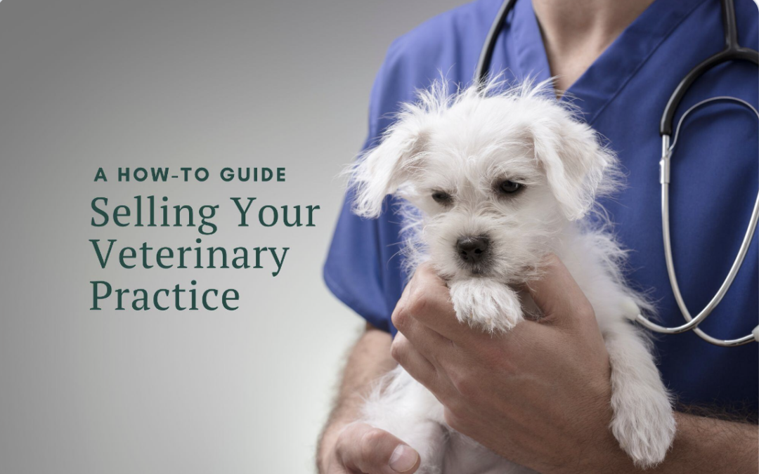How To Sell A Veterinary Practice: A Complete Guide
