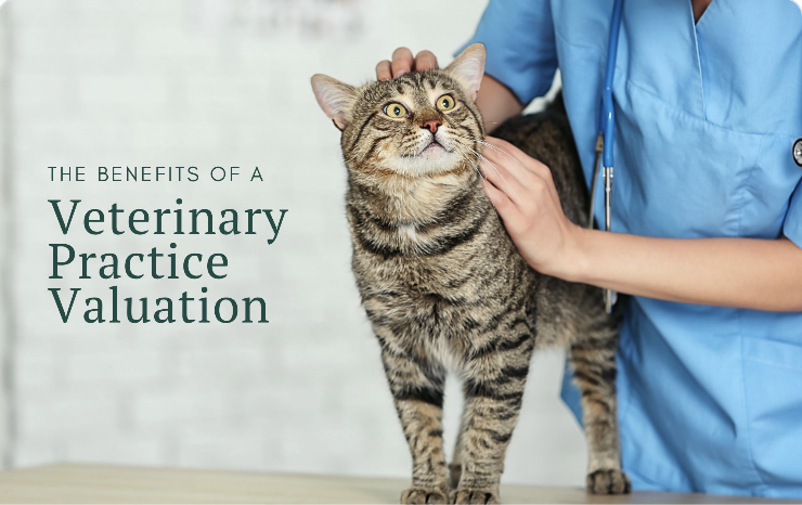 Valuations: What is Your Veterinary Practice Worth?