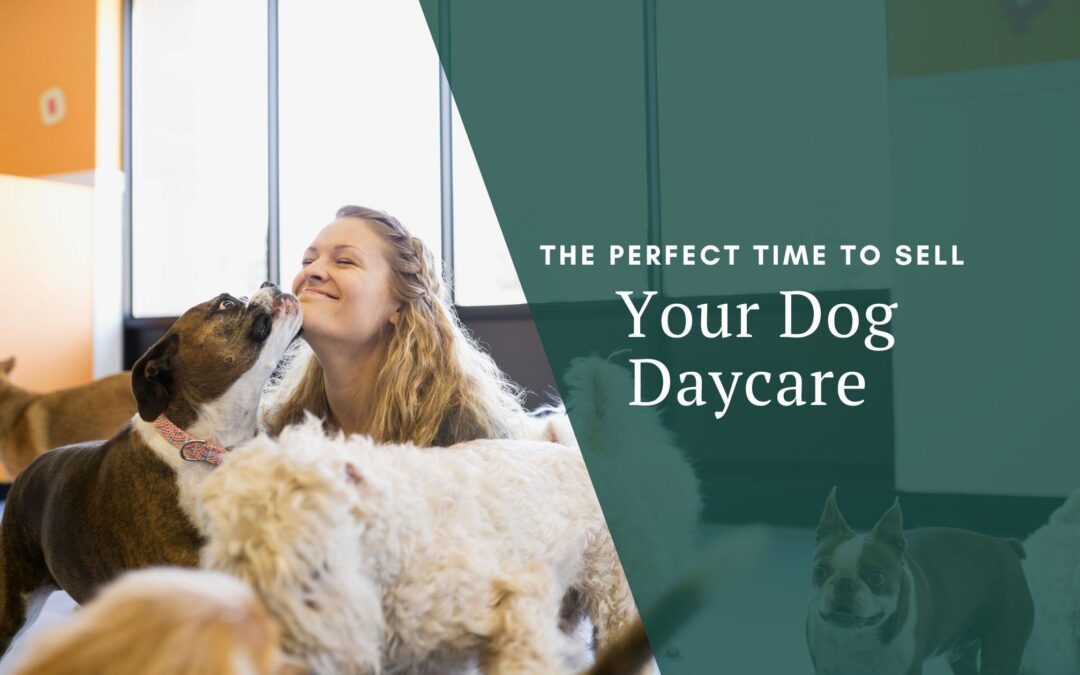 Sell Your Dog Daycare: A Perfect Time to Unleash Maximum Value