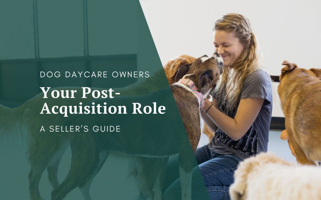 Dog Daycare Owners: Your Guide to Post-Acquisition Success